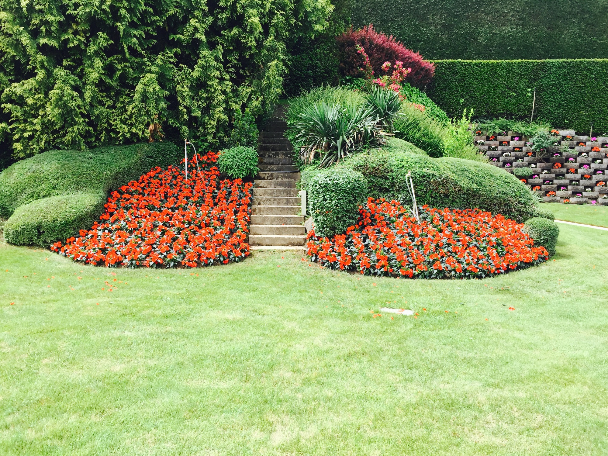 AMENAGEMENT VEGETAL | Paysage Hecky Aménagement végétal et minéral, plantations et décors à Pfetterhouse dans le Sundgau Belfort 0
