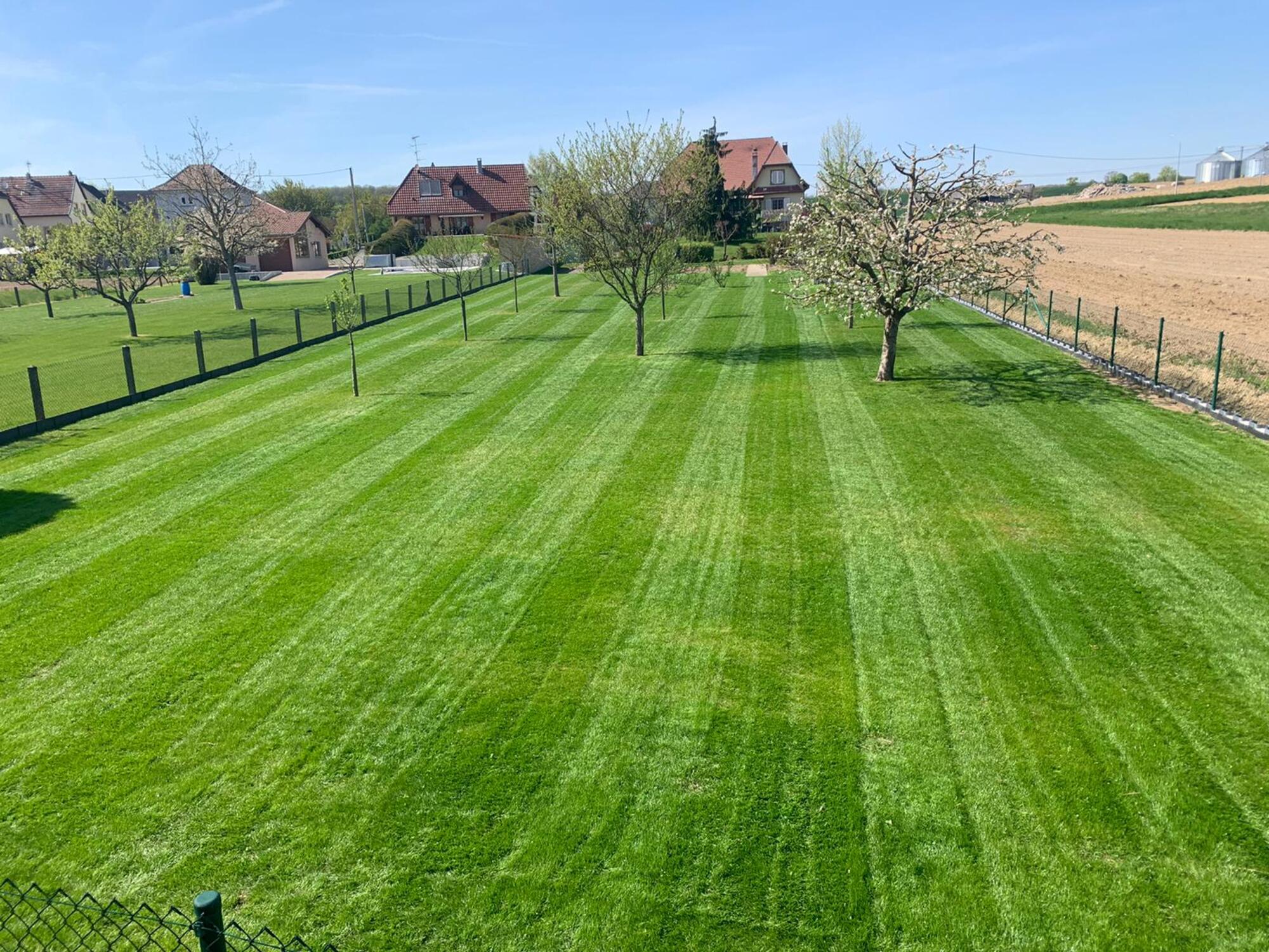 ENTRETIEN ESPACES VERTS | Paysage Hecky Interventions ponctuelles et contrats d’entretien de jardin dans le Sundgau Rixheim 0
