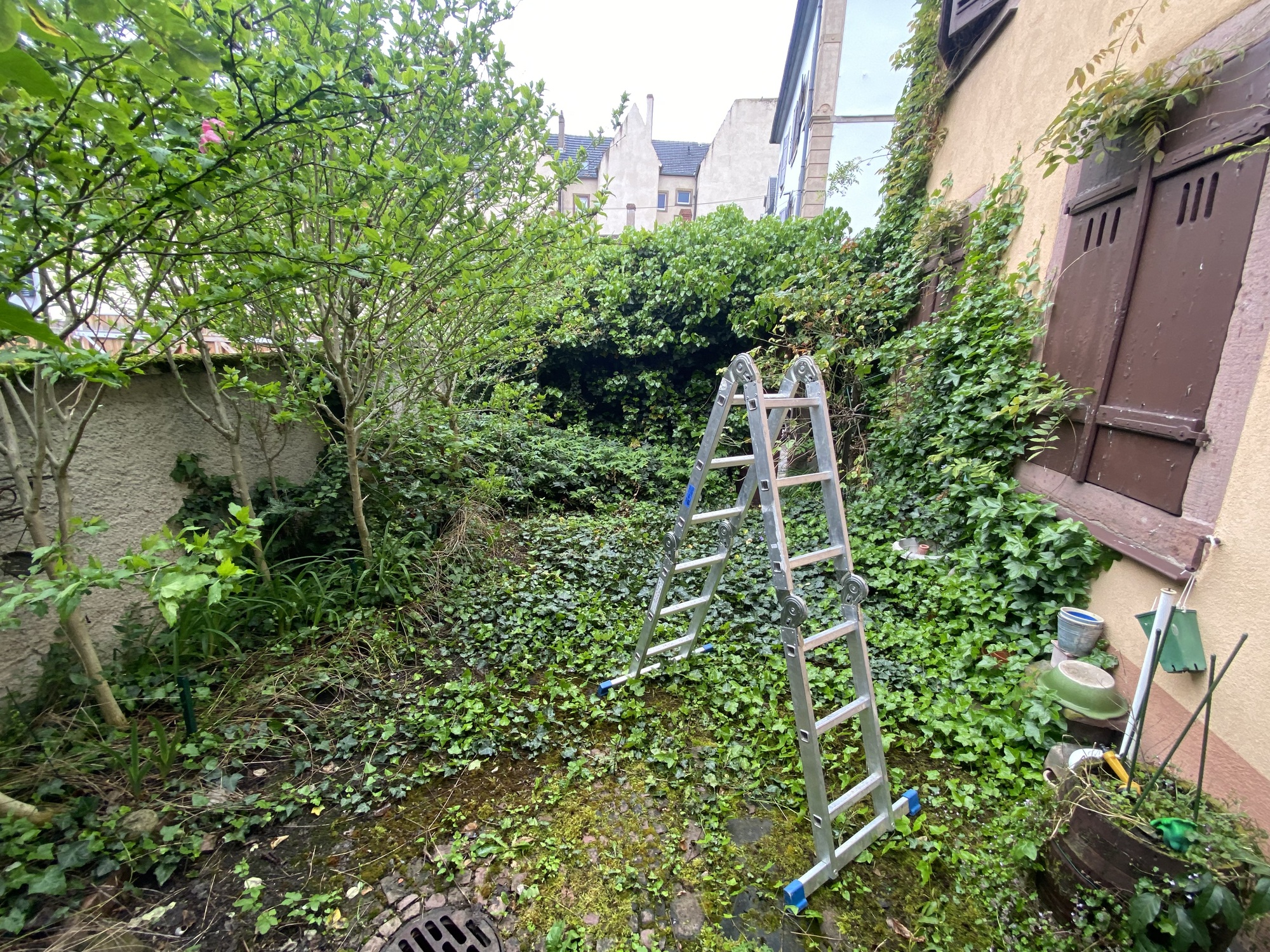 ENTRETIEN JARDIN | Paysage Hecky Interventions ponctuelles et contrats d’entretien de jardin dans le Sundgau Mulhouse 1