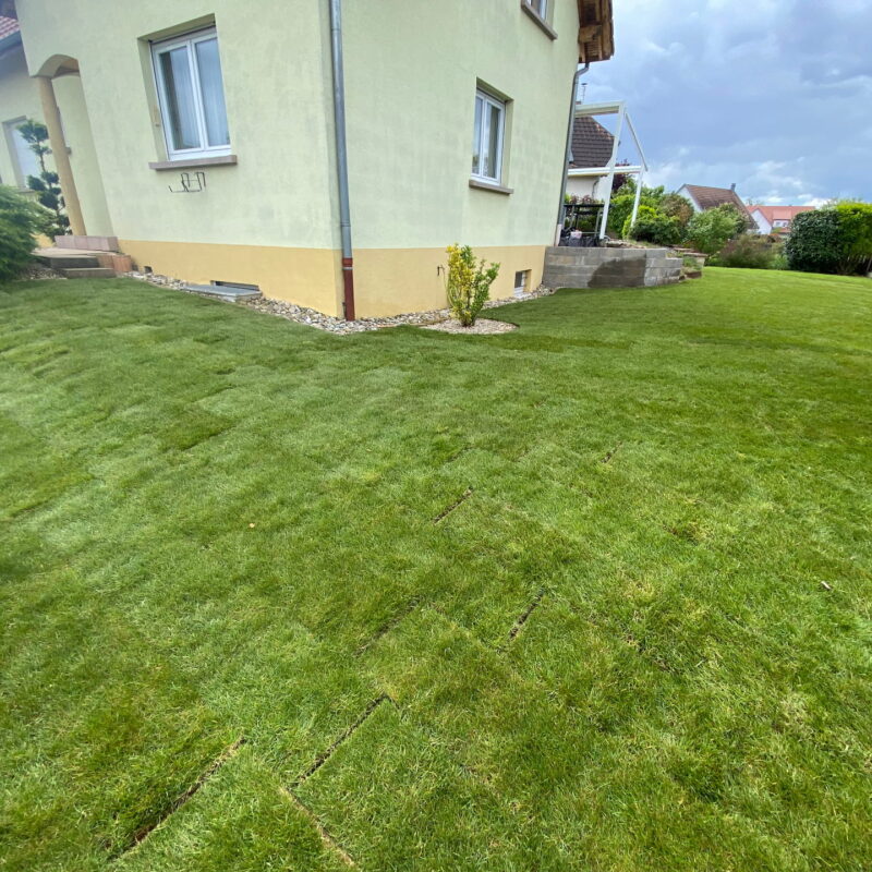 Am&eacute;nagement v&eacute;g&eacute;tal et min&eacute;ral&nbsp; Wittenheim 27