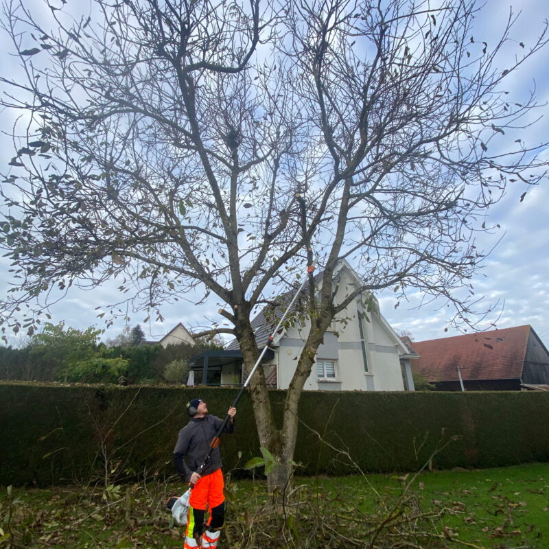 Am&eacute;nagement v&eacute;g&eacute;tal et min&eacute;ral&nbsp; Riedisheim 8