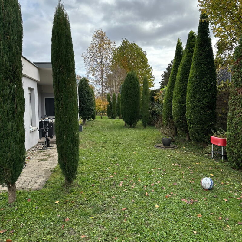 Am&eacute;nagement v&eacute;g&eacute;tal et min&eacute;ral&nbsp; Mulhouse 1
