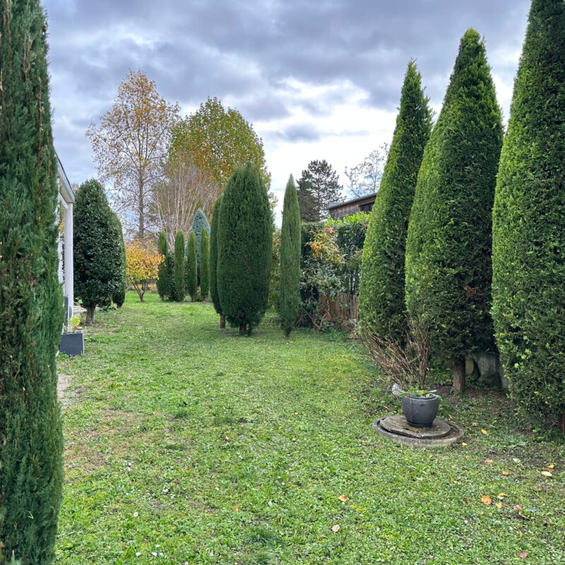Am&eacute;nagement v&eacute;g&eacute;tal et min&eacute;ral&nbsp; Belfort 4