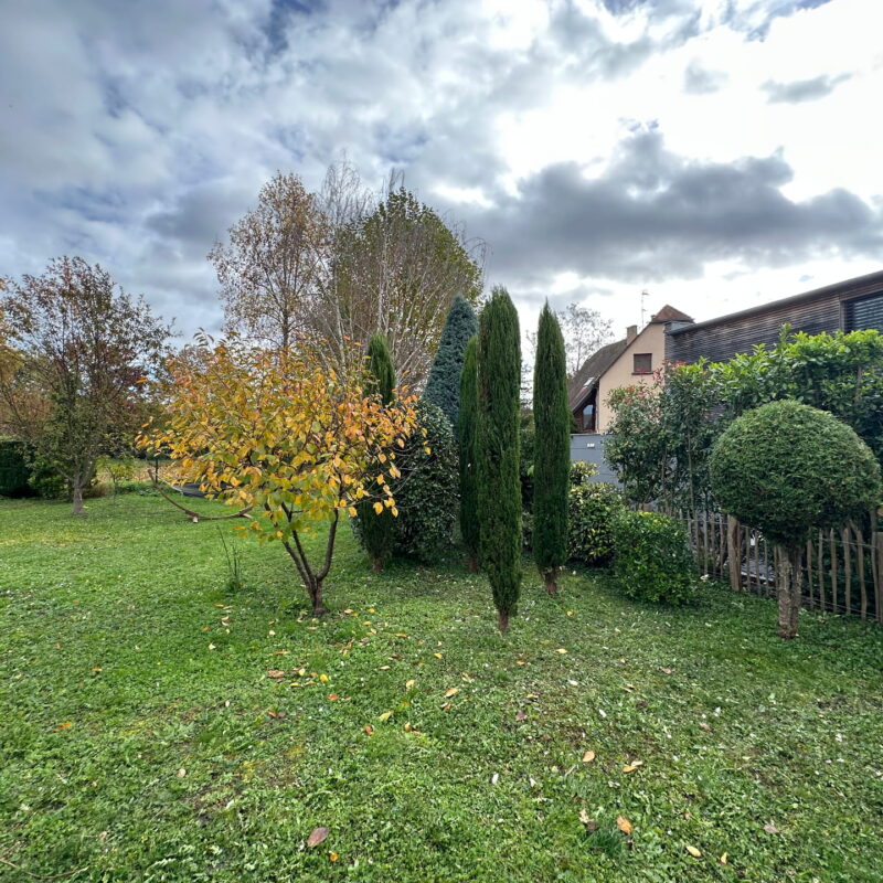 Am&eacute;nagement v&eacute;g&eacute;tal et min&eacute;ral&nbsp; Wittenheim 3