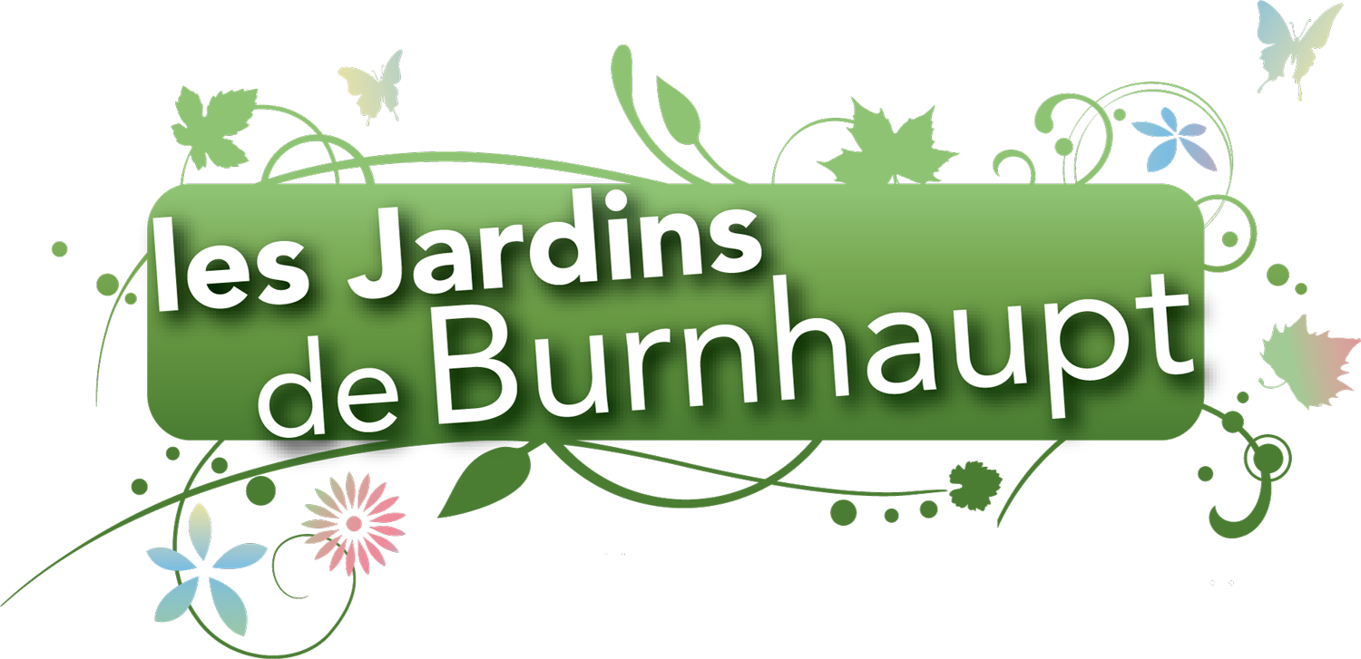 LESJARDINSDEBURNHAUPT | Paysage Hecky les jardins de burnaupt Kingersheim